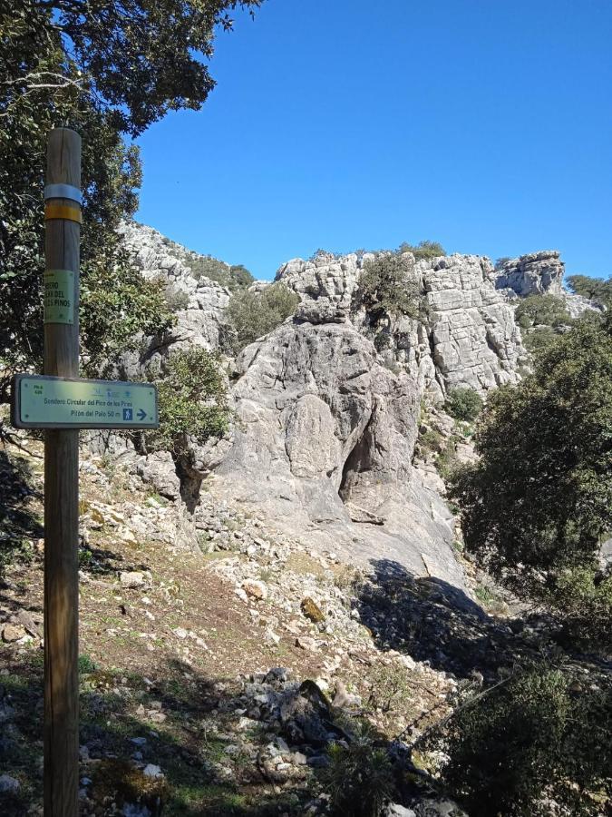 Pension La Sierra Cortes de la Frontera Extérieur photo